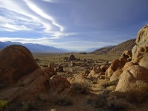 de droge natuur | Lone Pine